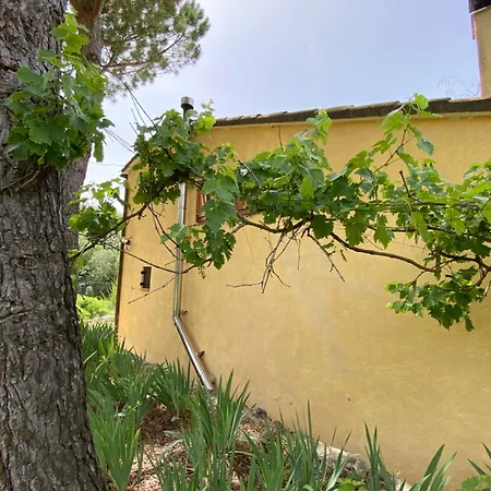 Cal Escaler Ferienhaus *